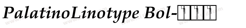 PalatinoLinotype Bol字体转换
